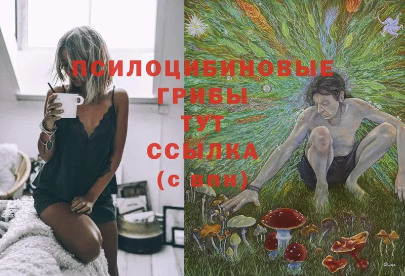 blacksprut ссылка  Иннополис  Галлюциногенные грибы Magic Shrooms 